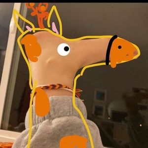 Meet your Posher, Sylvia